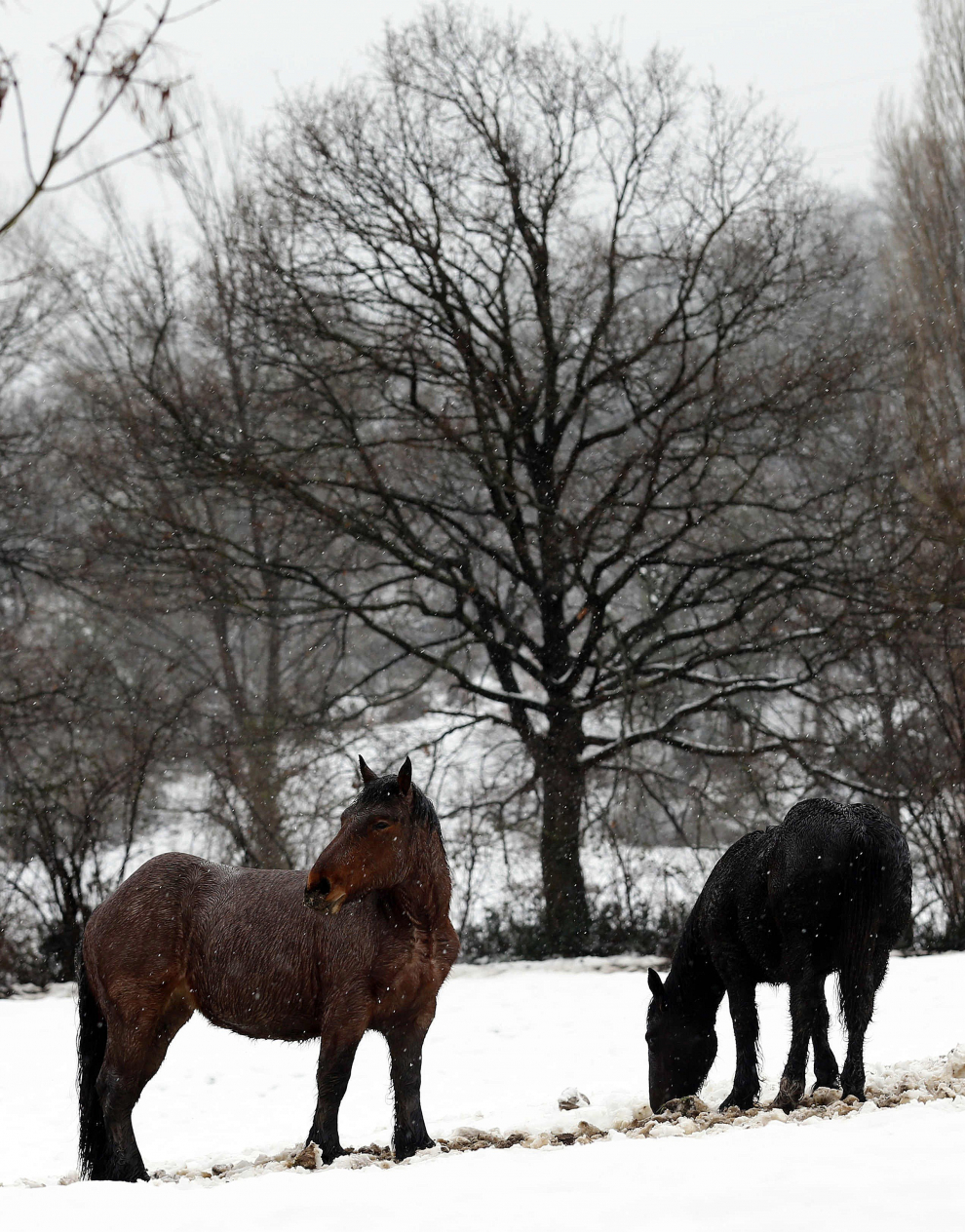 El Temporal De Nieve Complica La Circulaci N Im Genes