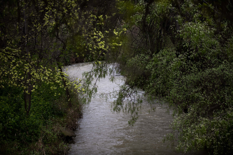 Fotos del estado de las riberas del río Huerva en Zaragoza Imágenes