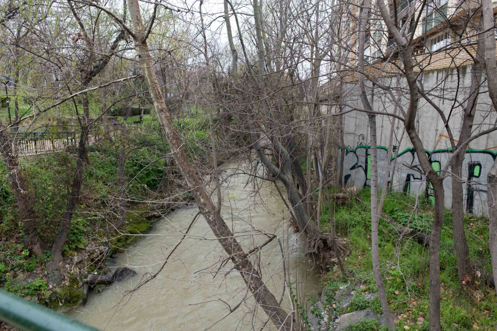 Fotos del estado de las riberas del río Huerva en Zaragoza Imágenes