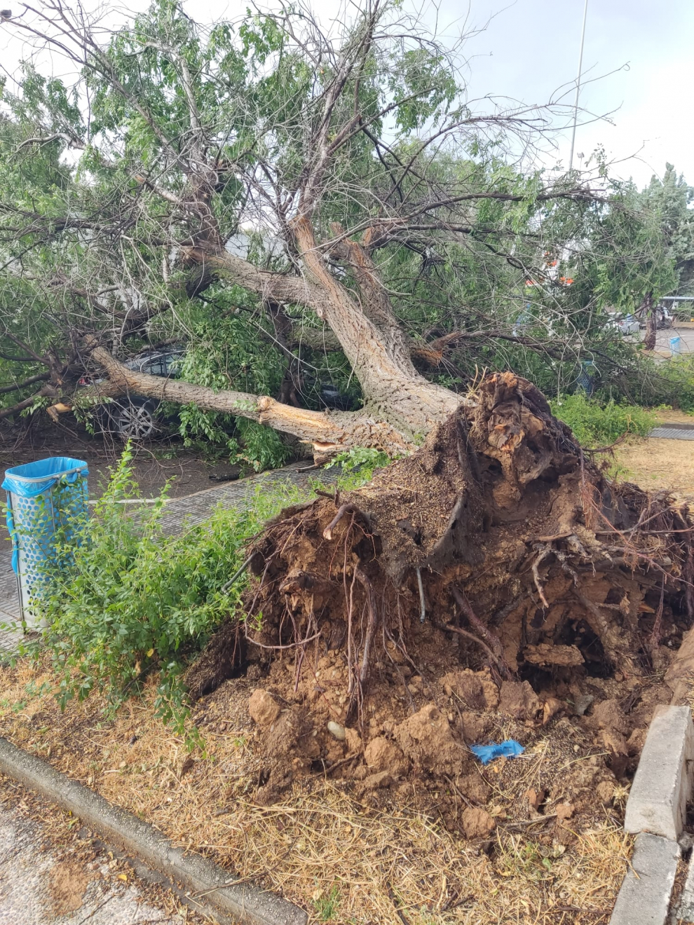 Una Fuerte Tormenta Provoca La Ca Da De Un Rbol En Un Rea De Servicio