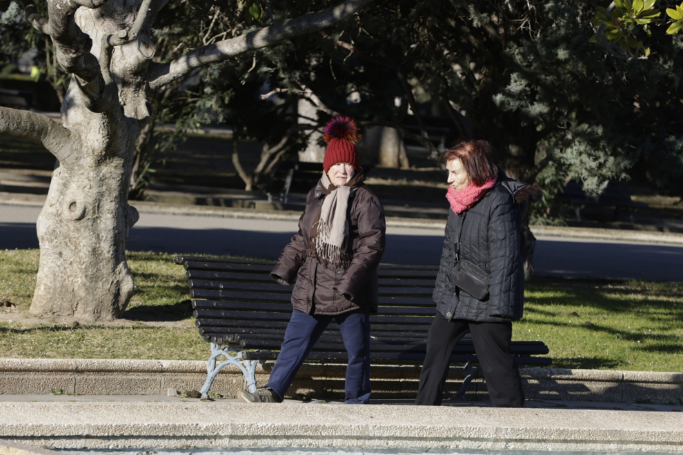 Fotos De Las Consecuencias Del Cierzo En Los Parques De Zaragoza