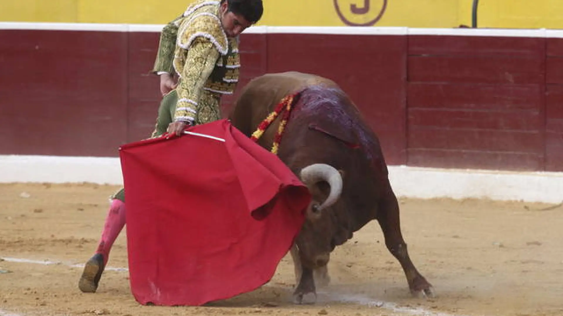 Cartel De Figuras Con El Novillero Fran Fernando Para El Festival De Ricla