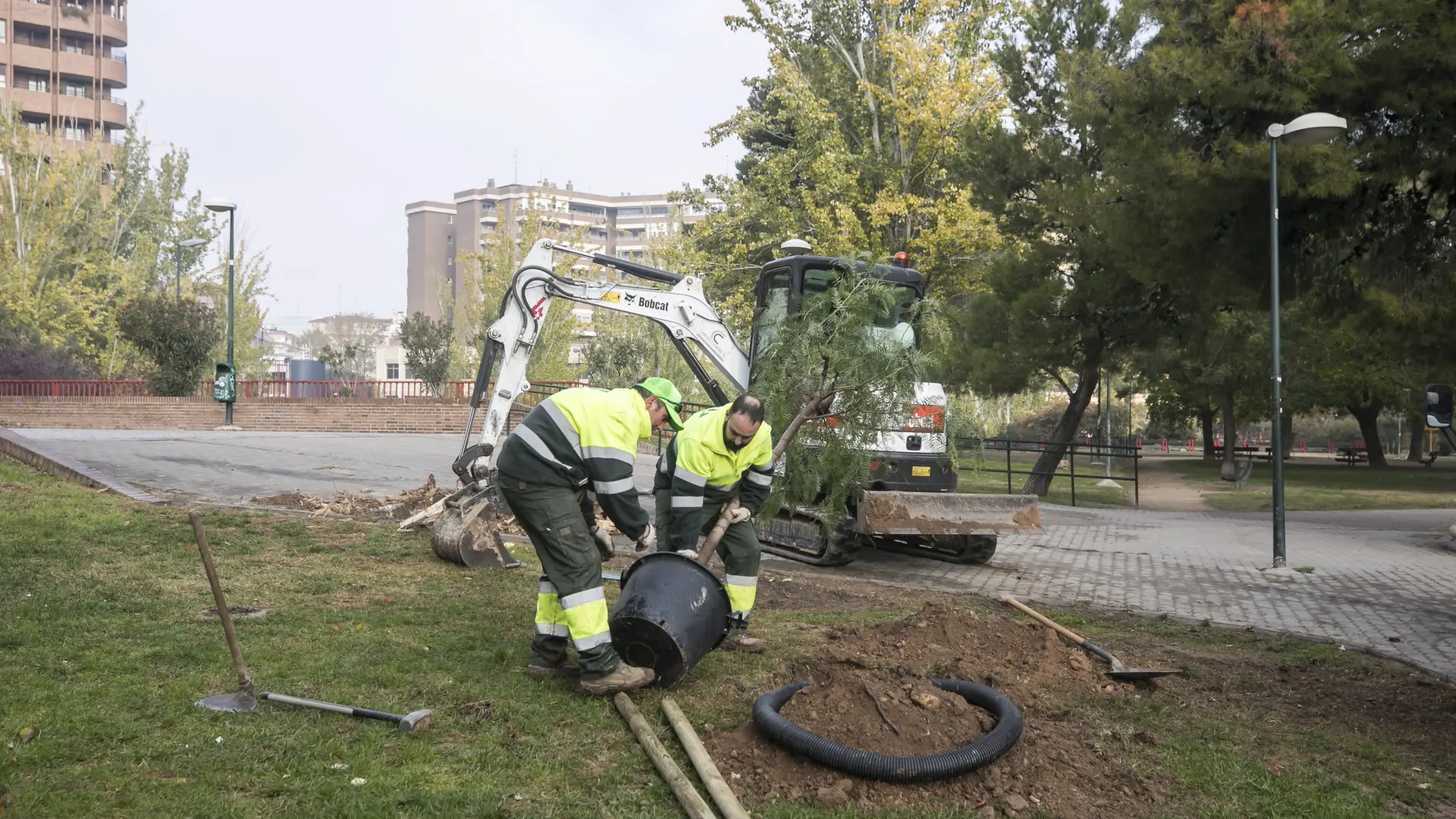 Acciona Recurre La Anulaci N Del Contrato De Parques Ante El Tsja