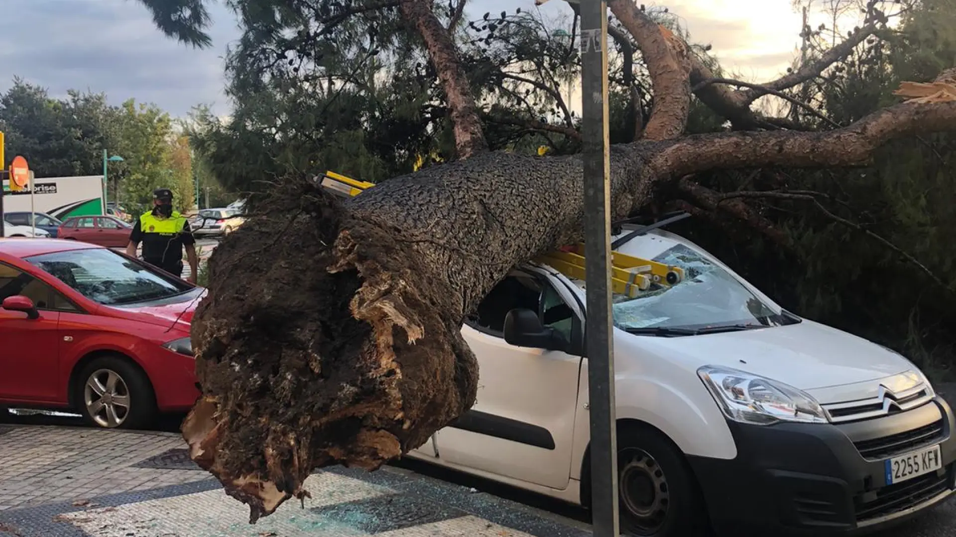 Las Tormentas Se Trasladan Al Pirineo Tras Dejar 60 Litros En Una Hora