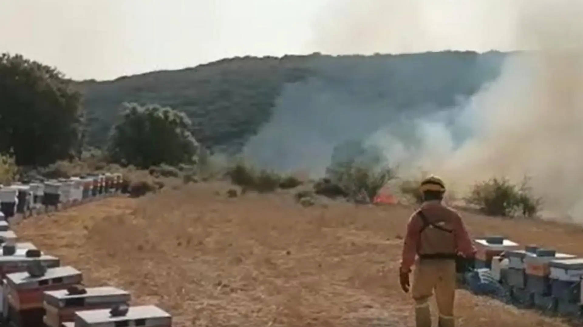 Los Apicultores Aragoneses Afectados Por Los Incendios Piden Ayudas