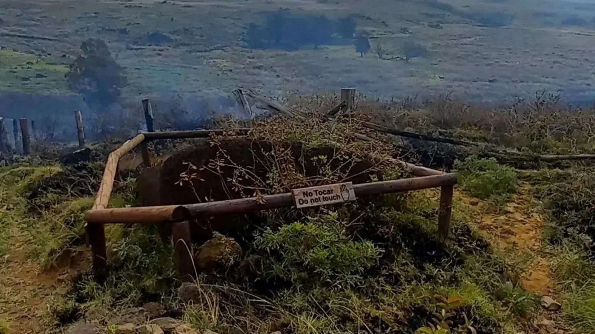 Un Incendio En La Isla De Pascua Quema Varios Moais Y M S De Cien Hect Reas