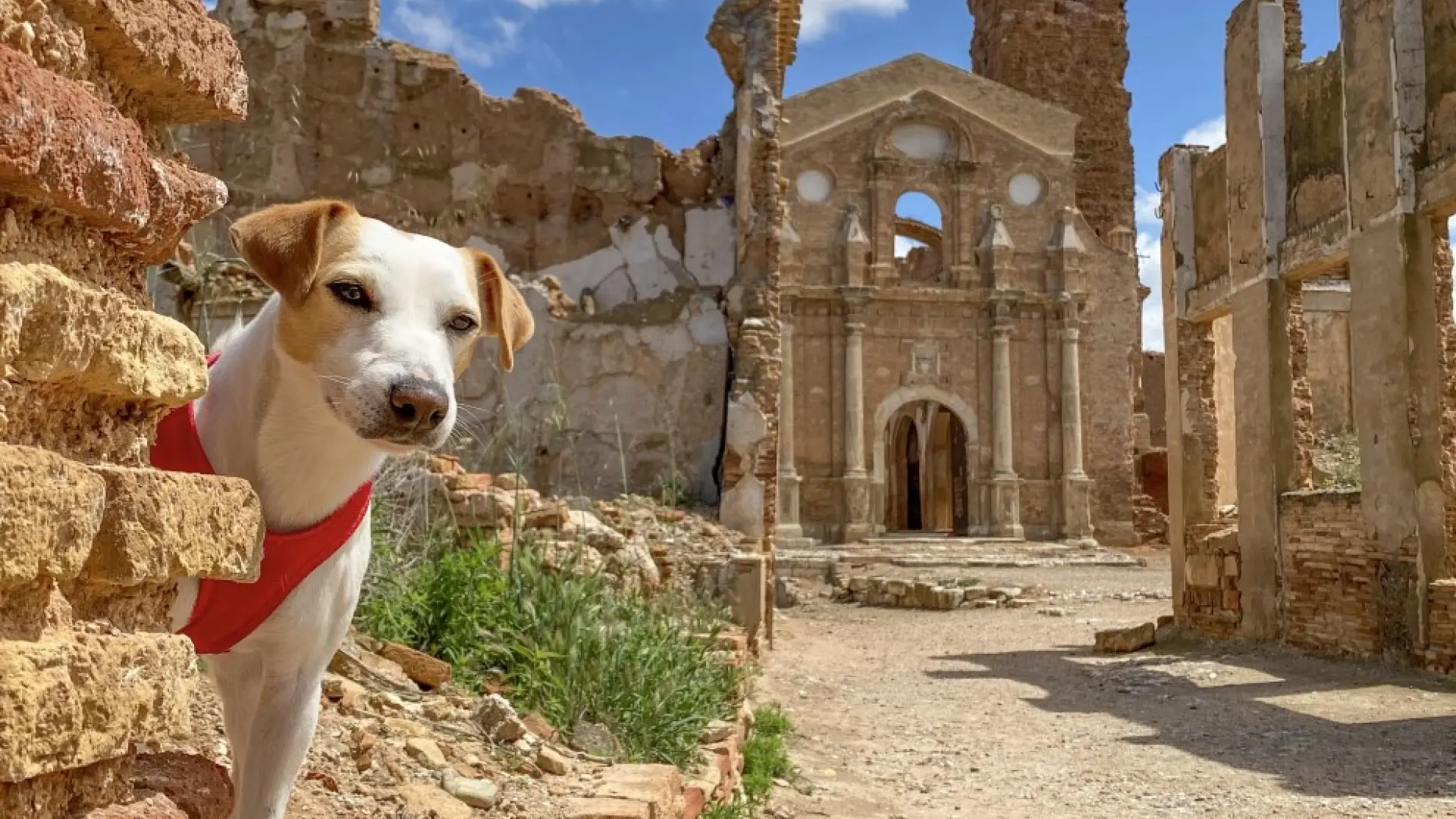 Vacaciones Petfriendly Planes Y Destinos Para Veranear Con Perros En