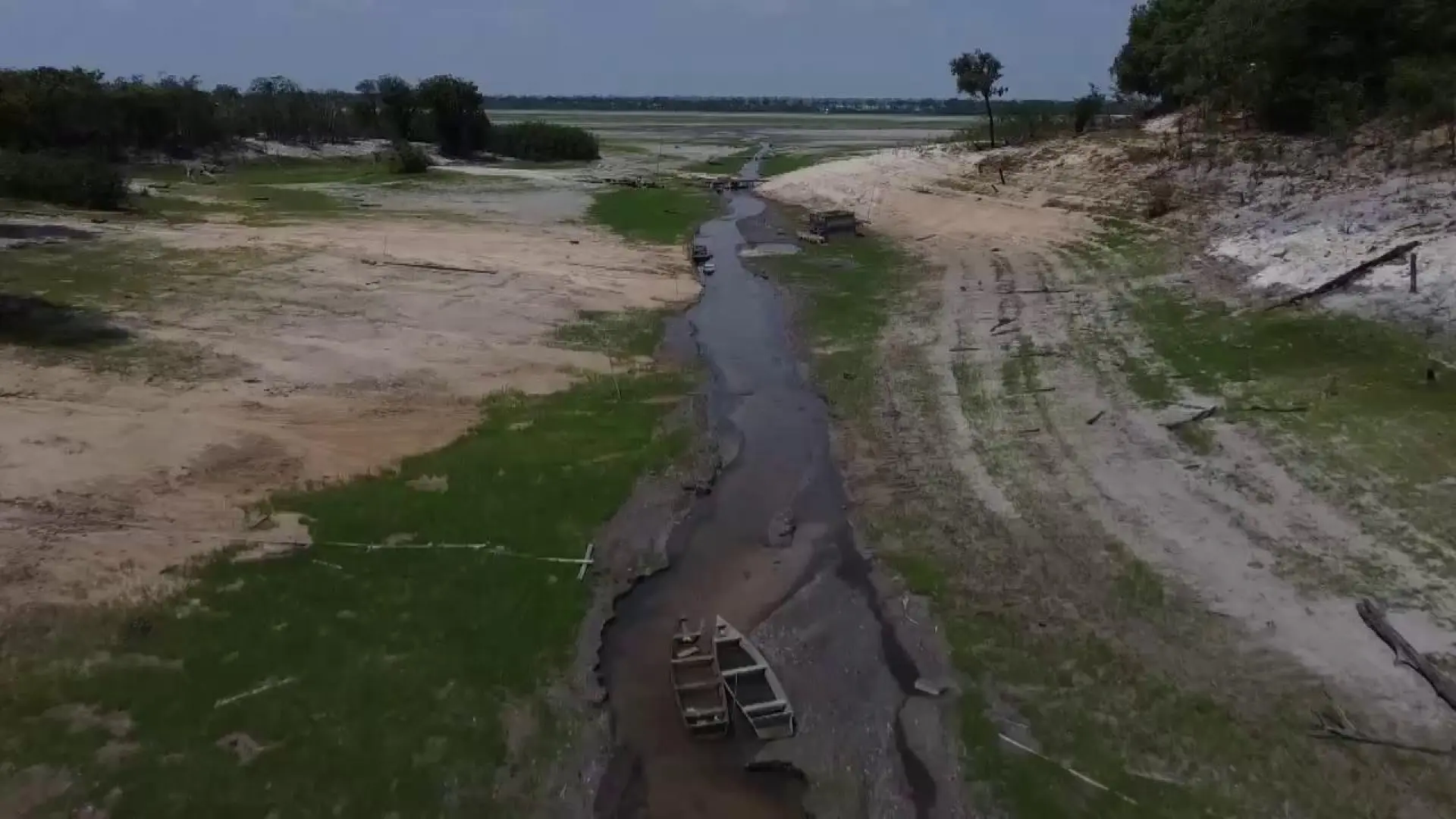 V Deo Viaje Al Coraz N De La Peor Sequ A En D Cadas De La Amazonia