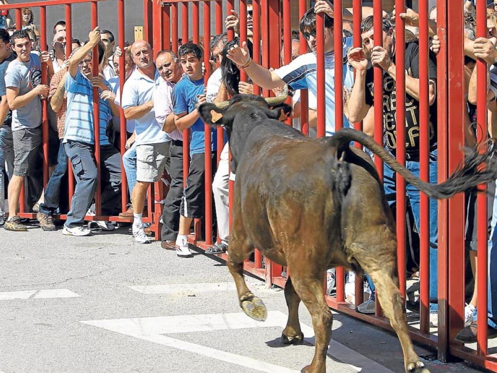 Los Pueblos Mantienen La Inquietud Por Los Actos Taurinos Y Piden