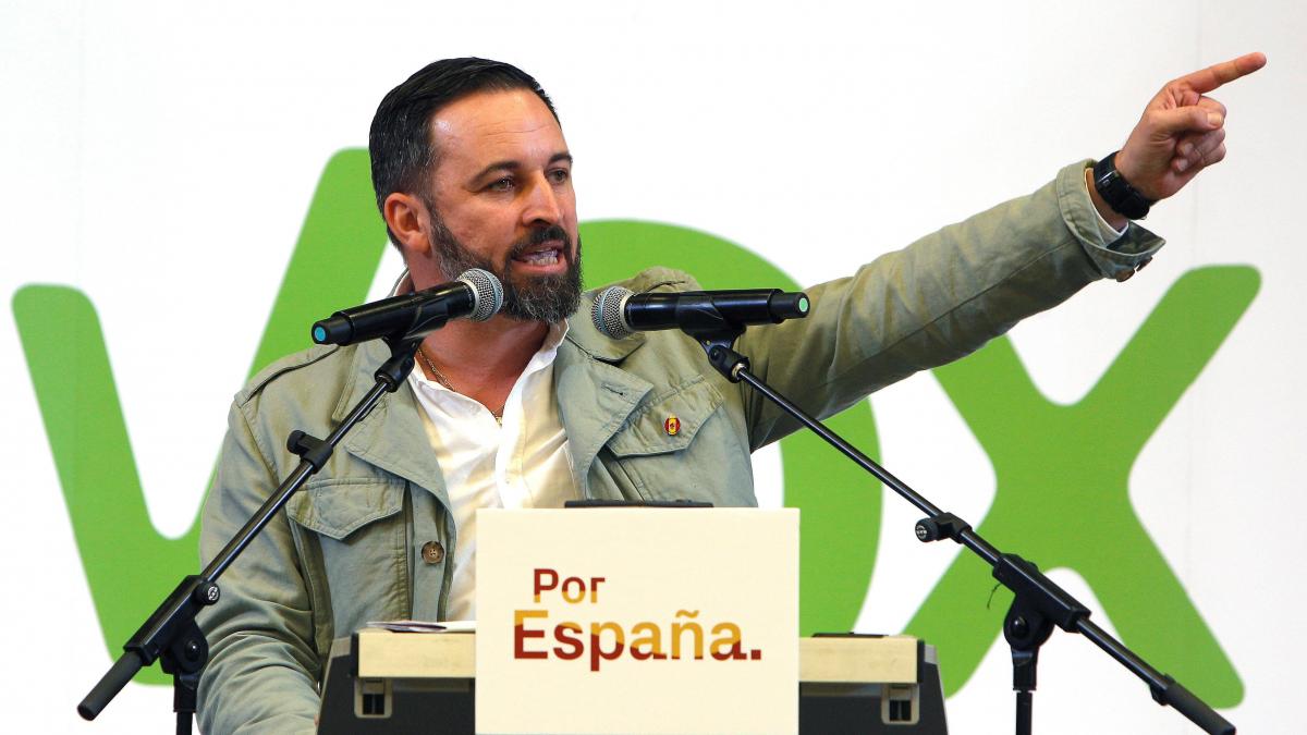 Elecciones Generales As Es El Votante De Vox