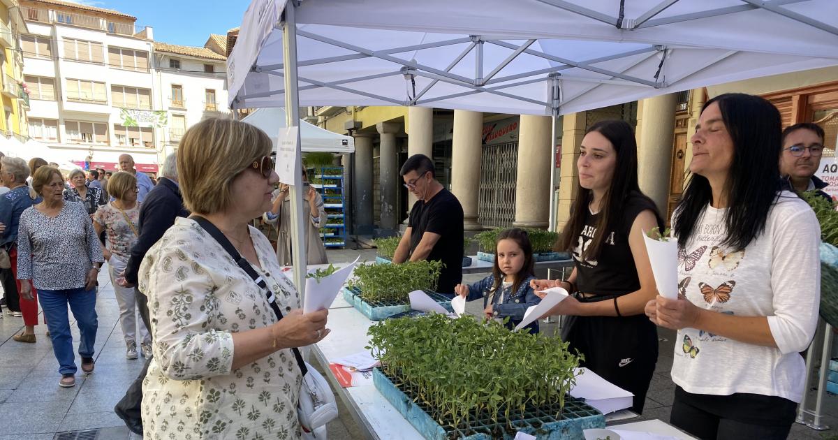 La Fiesta Del Plantero Regresa Con El Reparto De 2 000 Plantas De