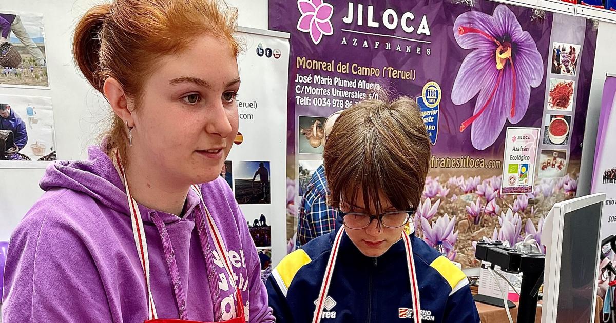 Éxito de público en la Feria del Azafrán de Monreal del Campo