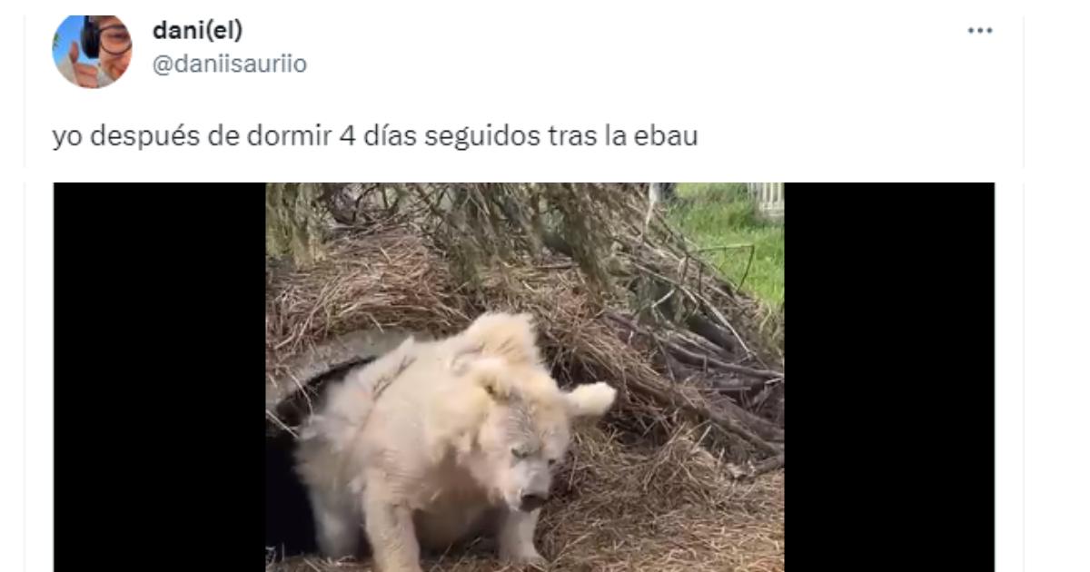 Los Mejores Memes De La Evau O Ebau Del Chiringuito De Jugones