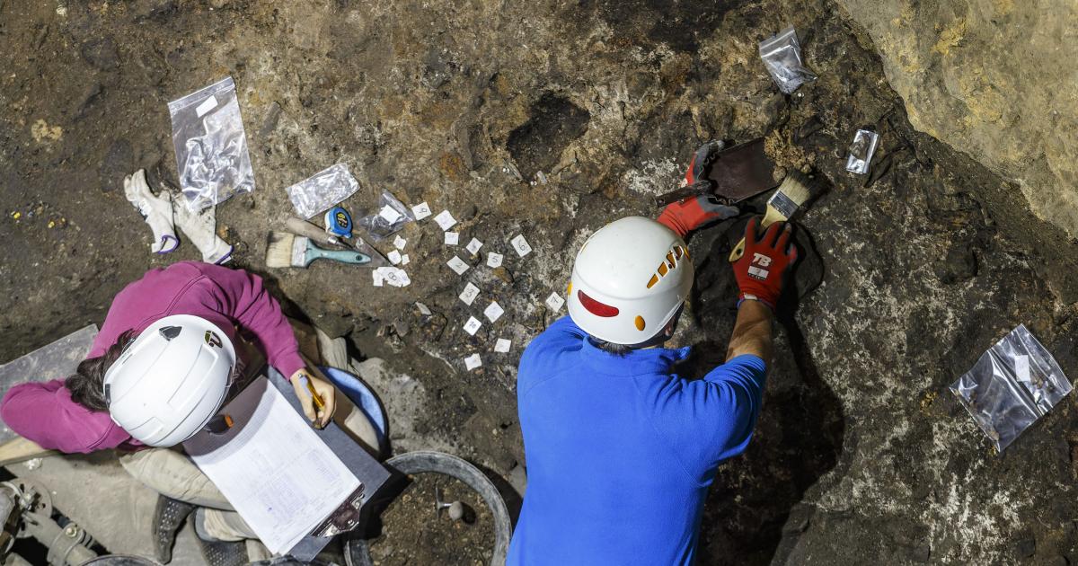 Hallan En Atapuerca Los Primeros Suelos Preparados Para Crear Un Hogar