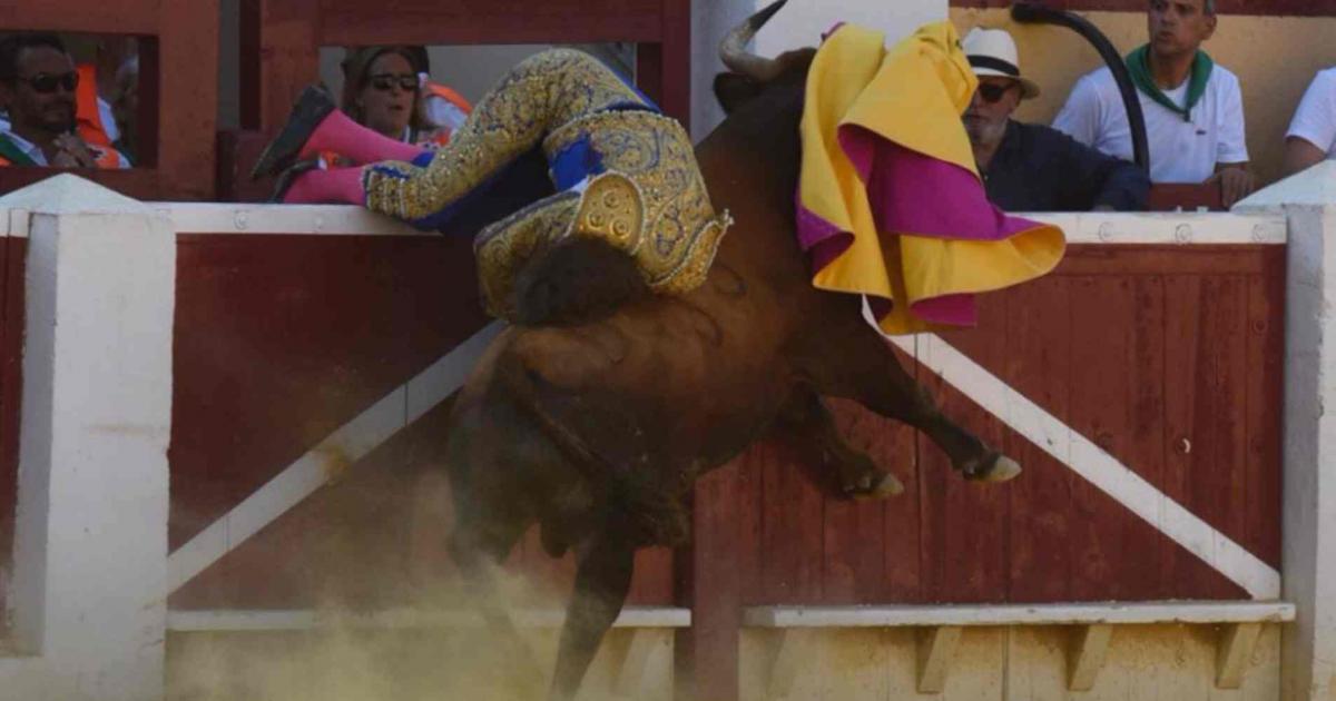 El Cordob S David De Miranda Y Felipe Pe A Tres Toreros Heridos En