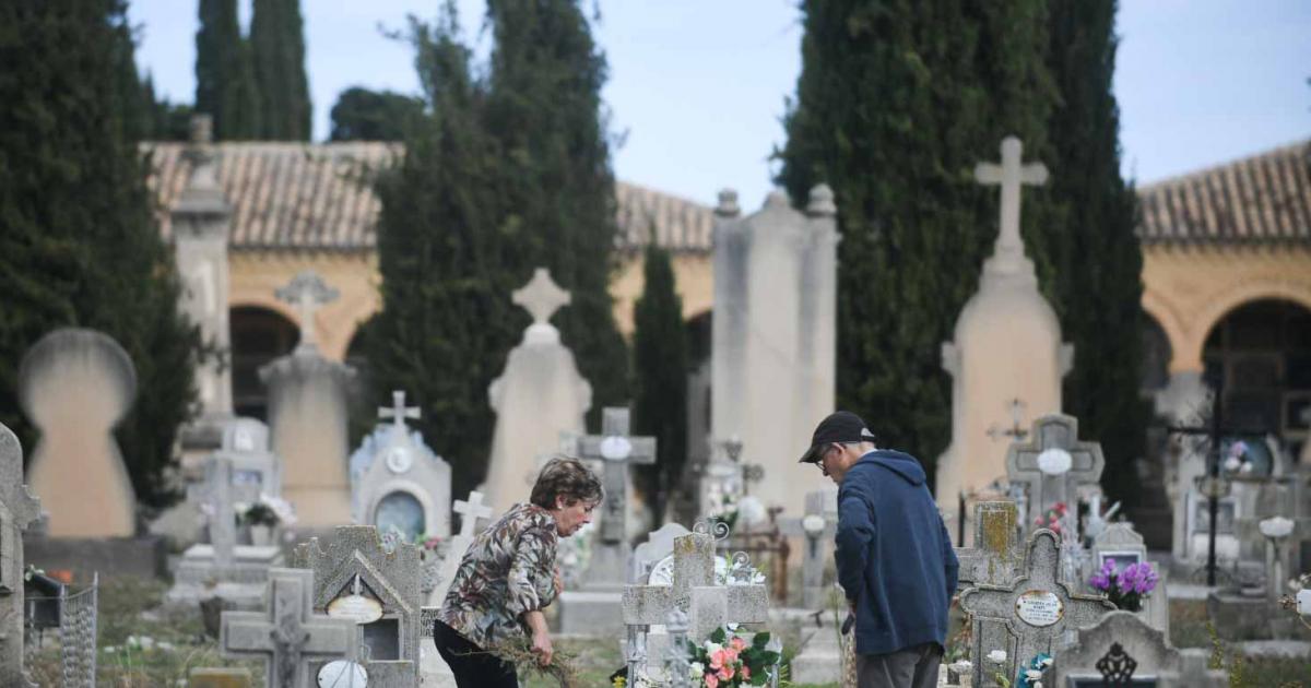 Los Zaragozanos Llenan El Cementerio De Torrero Como Preludio A Todos