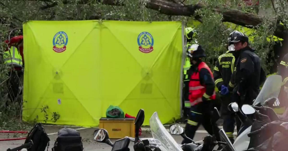 En vídeo Una joven fallece en Madrid tras caerle un árbol encima por