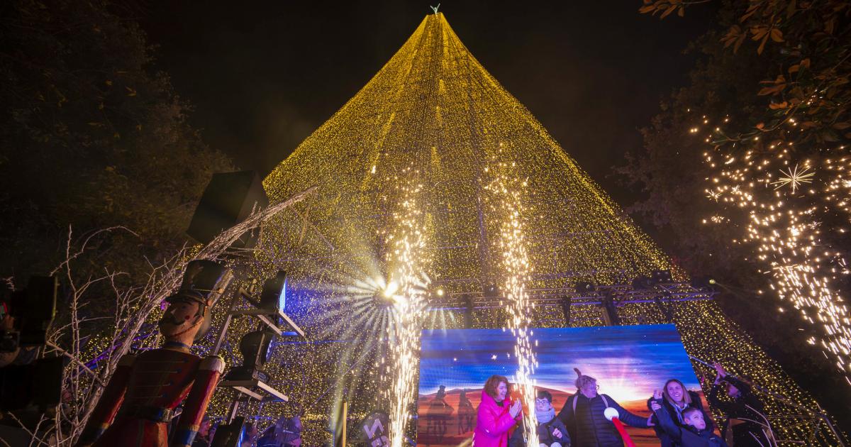 El Rbol De Navidad M S Grande De Europa Ya Brilla En Cartes Cantabria