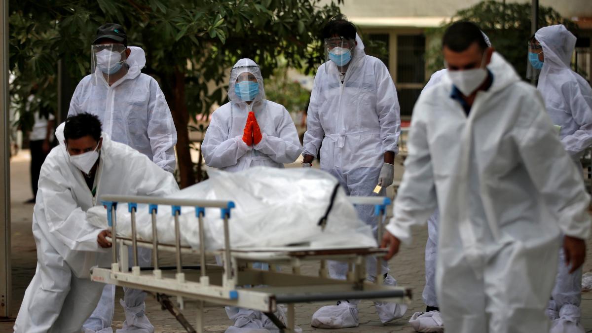 La Mucormicosis U Hongo Negro La Enfermedad Que Amenaza A Los Infectados Por Covid En La India