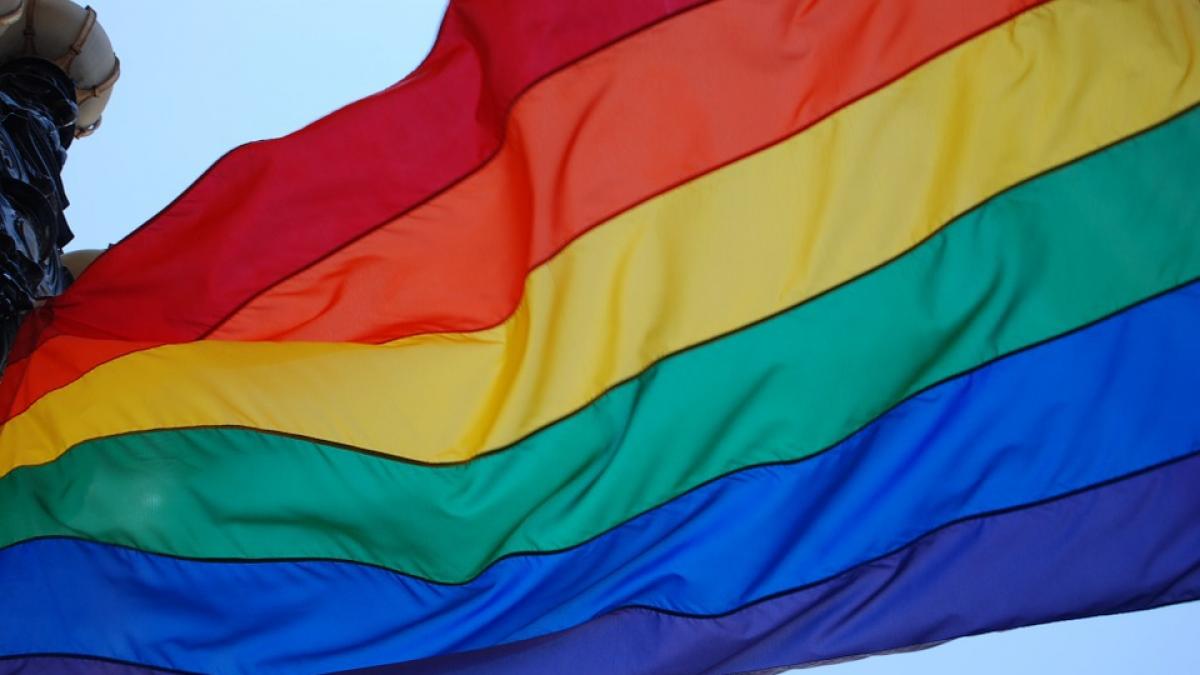 Por Que La Bandera Del Orgullo Gay Tiene Los Colores Del Arcoiris Noticias De Heraldo Joven En Heraldo Es