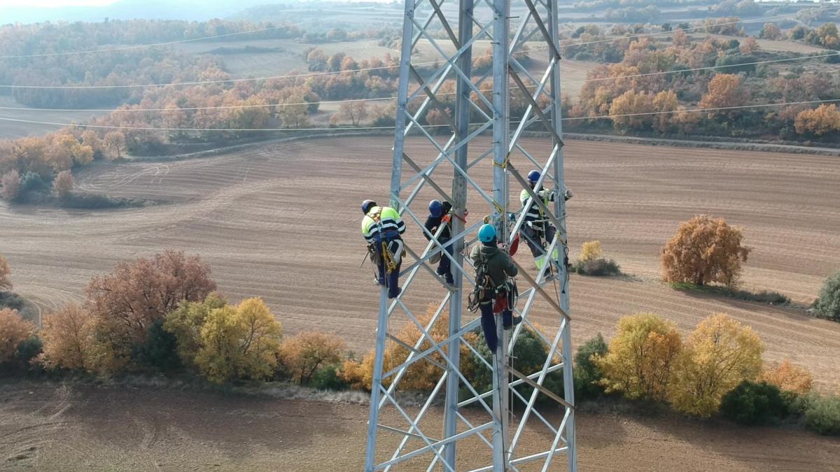 Operarios de Endesa trabajando en la mejora de la red.
