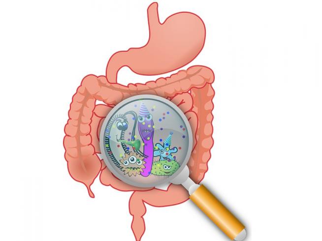 es la gripe estomacal dando vueltas ahora es la gripe estomacal dando vueltas ahora