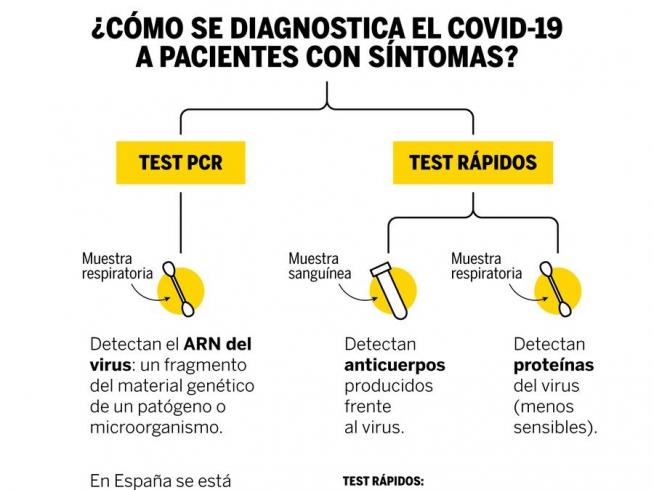 Diferencia Entre El Pcr Y El Test Rapido Para Detectar El Coronavirus
