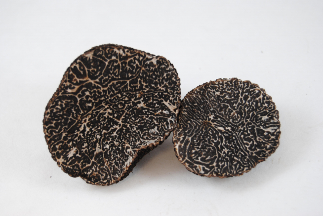 Trufa negra (Tuber melanosporum) madura