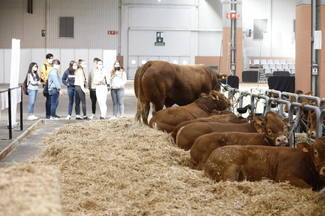 Arranca en Zaragoza Figan 2021, la Feria Internacional para la Producción Animal