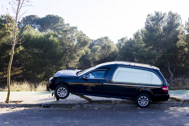 Un coche fúnebre arrolla 6 árboles en Puerto Venecia