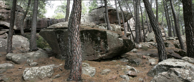 Paisaje Protegido de los Pinares de Rodeno, en Albarracin.