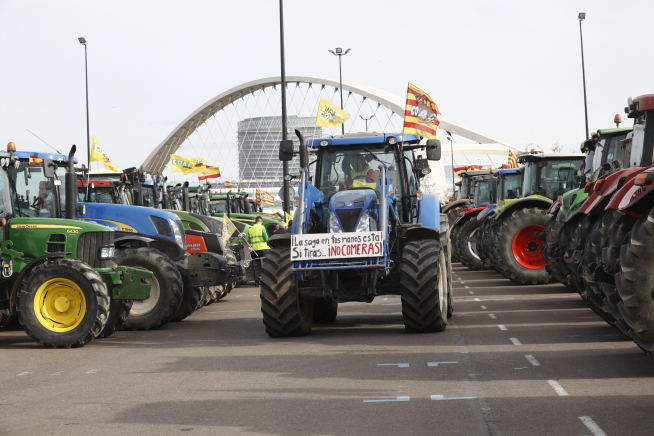 Zapatos fila hotsell tractor zaragoza