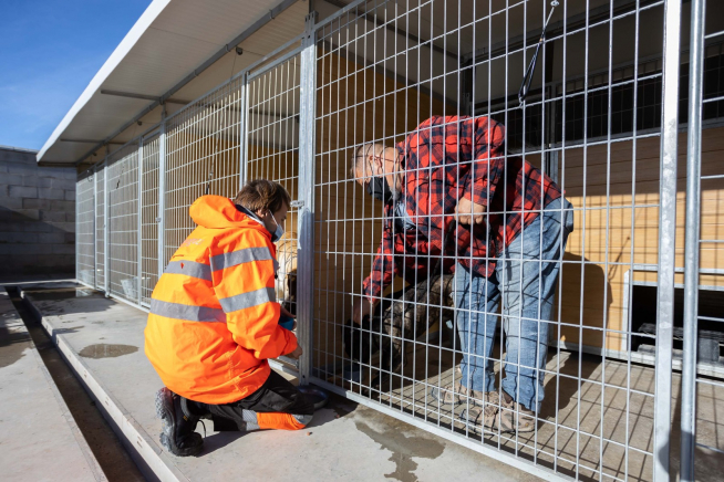 Adiestramiento de perros del Centro de Protección Animal
