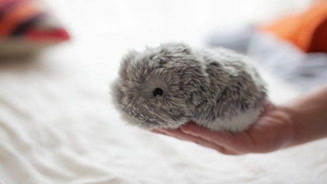 Moflin es una curiosa mascota con inteligencia artificial y sin forma definida