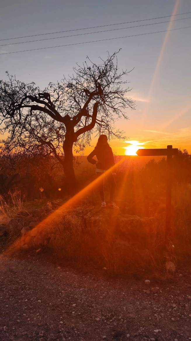 ‘Directa al sol’.