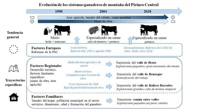 Evolución de los sistemas ganaderos de montaña del Pirineo Central.