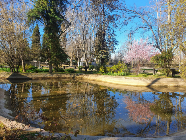 Rincones del Parque Grande José Antonio Labordeta