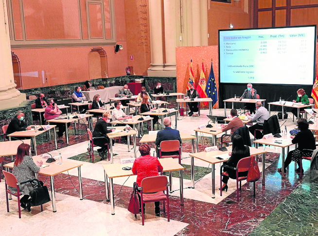 Reunión de representantes del Gobierno y de las comarcas frutícolas para planificar la campaña