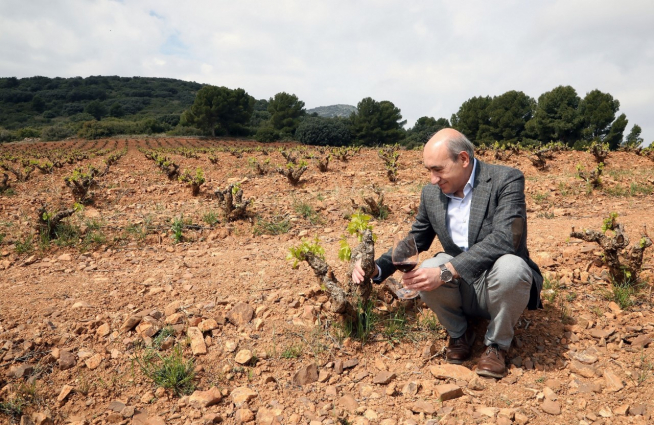 El gerente de Bodegas Aragonesas, Enrique Chueca, con uno de sus vinos en los viñedos de Fuendejalón.