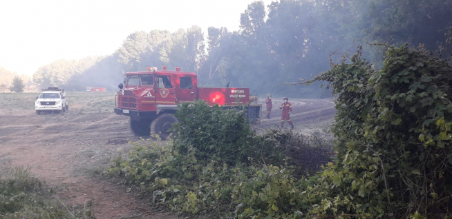 Incendio forestal en una zona de chalés en Tarazona