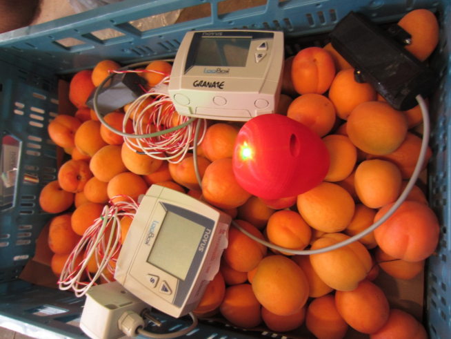 Entre los frutos, los dos sensores diseñados por el grupo operativo Tics4fruit que se están validando en empresas.