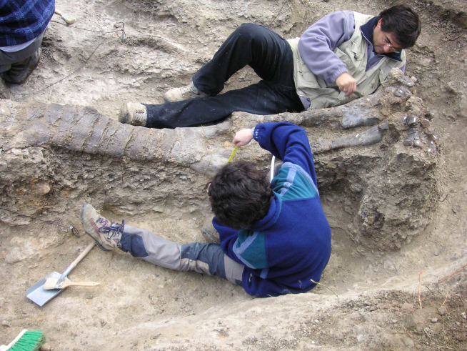 Excavación en 2004 de una pata del saurópodo Tastavinsaurus sanzi en El Castellar.