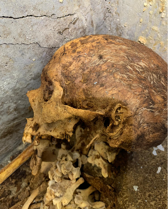 Momia descubierta en Pompeya