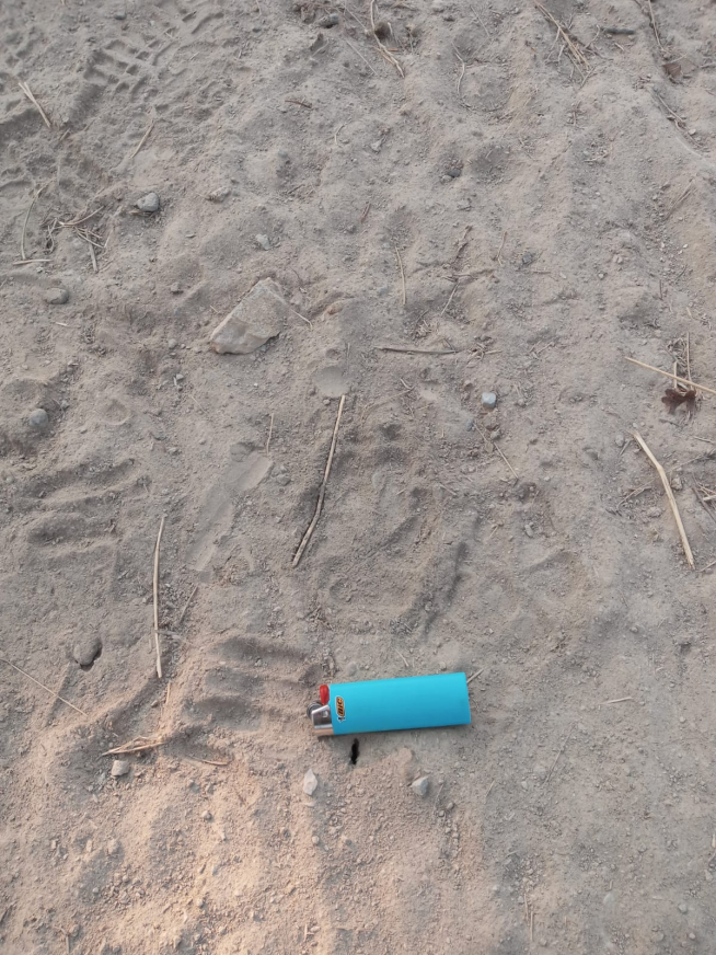 Supuesta huella del perro suelto que ha atacado presuntamente a rebaños.