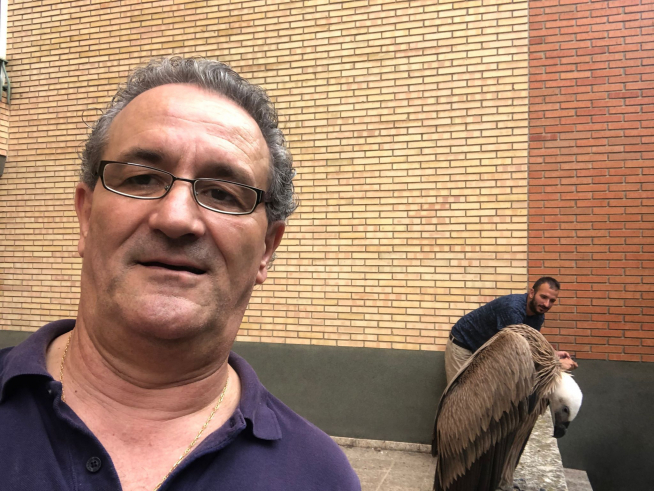'Selfie' junto al buitre en un balcón de Huesca