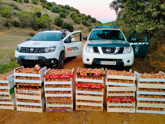 Setas intervenidas en Villalengua