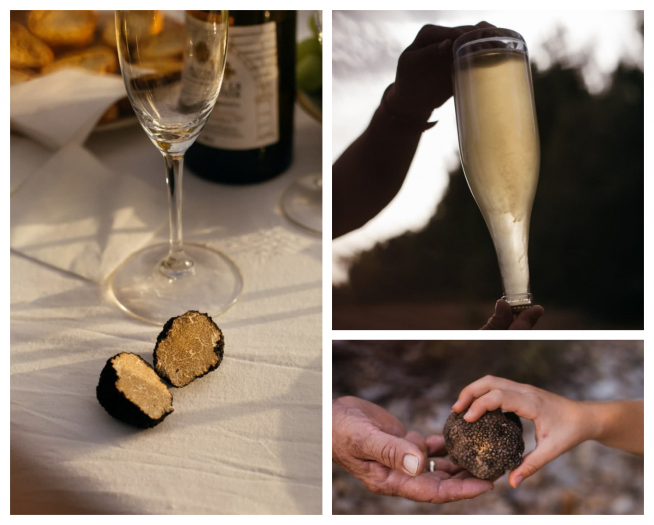 La trufa negra de Teruel -del entorno de Monroyo- combina bien con el cava; el vino espumoso de la bodega contiene la trufa negra en su interior