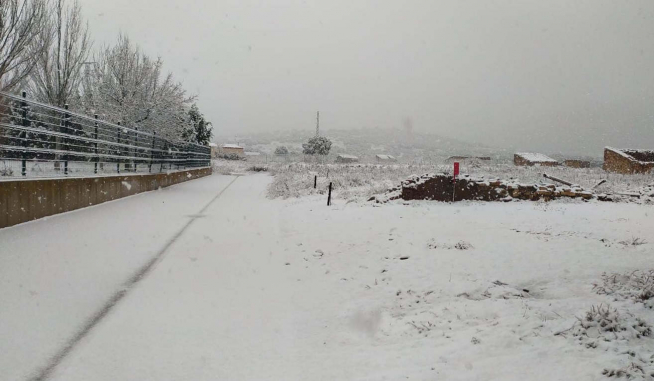 Nevada en Used (Zaragoza)