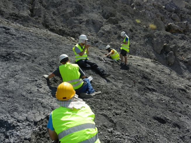 Campaña de excavación en busca de ámbar en el yacimiento de Ariño en julio de 2019