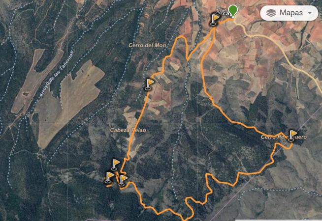 Ruta circular del Pinsapar de Orcajo.
